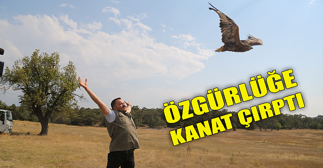 Özgürlüğe kanat çırptı