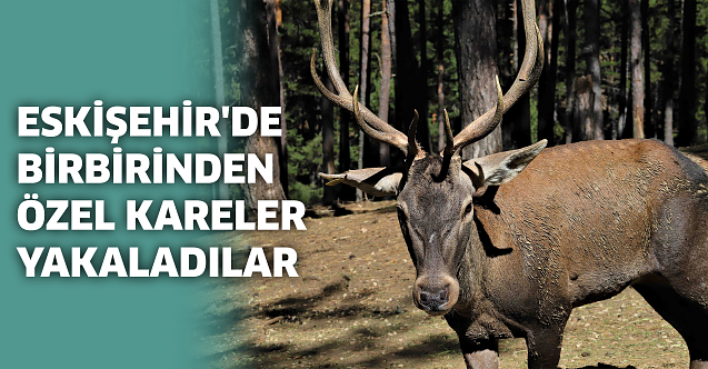 Eskişehir'de birbirinden özel kareler yakaladılar