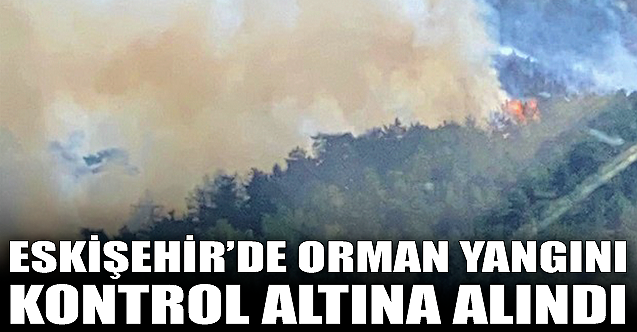 Eskişehir'de orman yangını kontrol altına alındı!