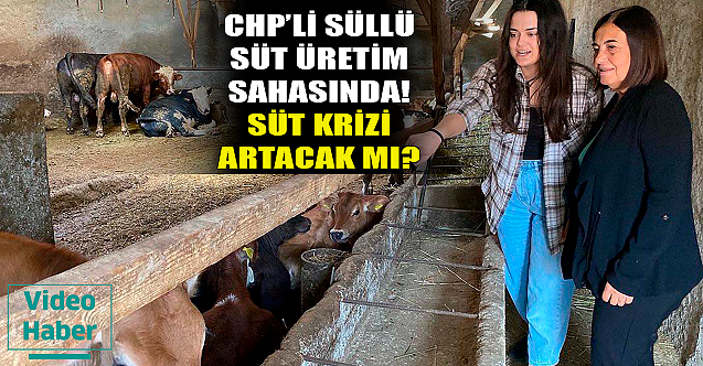 Jale Nur Süllü süt üretim sahasında! Süt krizi derinleşecek mi?