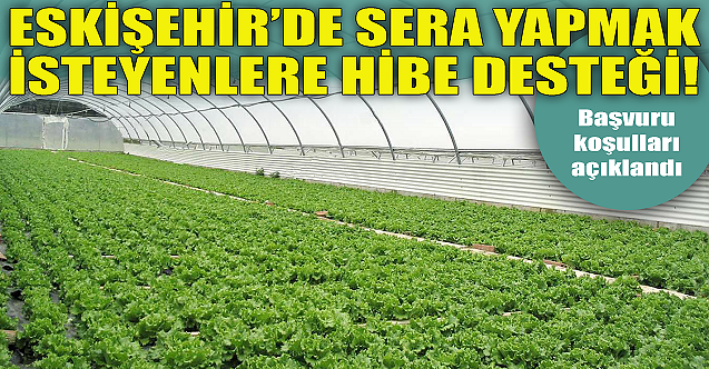 Eskişehir'de sera yapmak isteyenlere hibe desteği! İşte koşullar