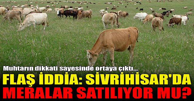 Flaş iddia: Sivrihisar'da meralar satılıyor mu?