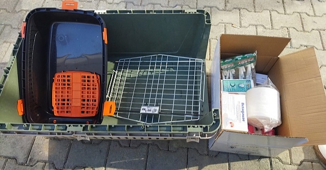 Deprem bölgesine bir yardım da hayvanlar için