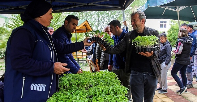 Eskişehir'de 50 bin fide hibe edildi!