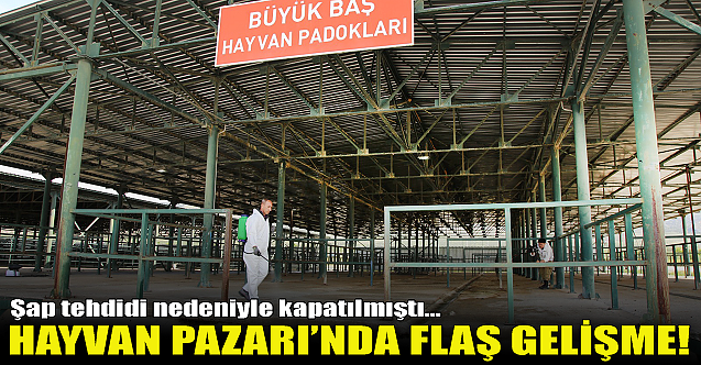 Eskişehir Hayvan Pazarı'na ilişkin flaş gelişme!