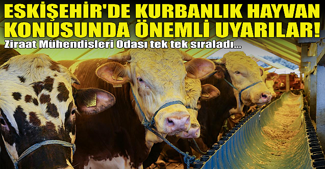 Eskişehir'de kurbanlık hayvan konusunda önemli uyarılar!