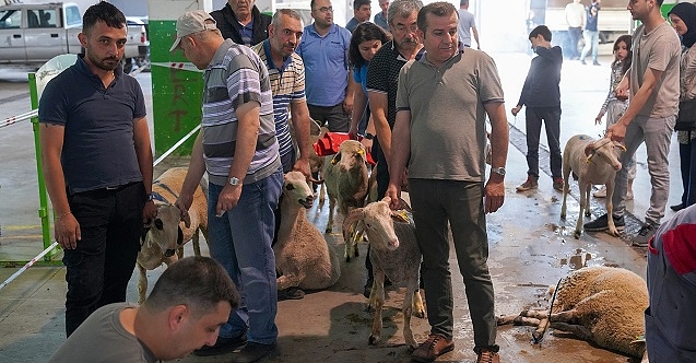 Eskişehir'deki kurban kesim yerini vatandaş nasıl yorumladı?