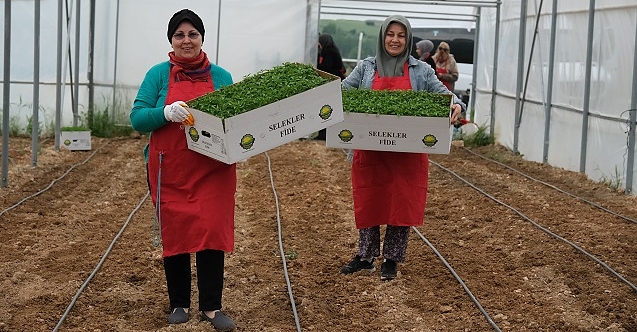 Sivrihisar'da toprağa kadın eli değdi!
