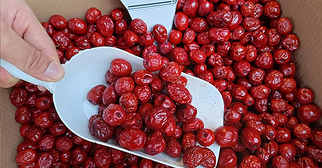 Dünyaca bilinen hünnap meyvesinin faydaları pes dedirtiyor