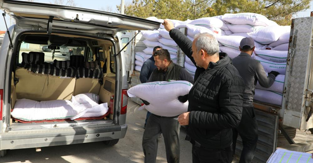 Seyitgazi bu sene yerli Azkan nohut tohumu ekecek