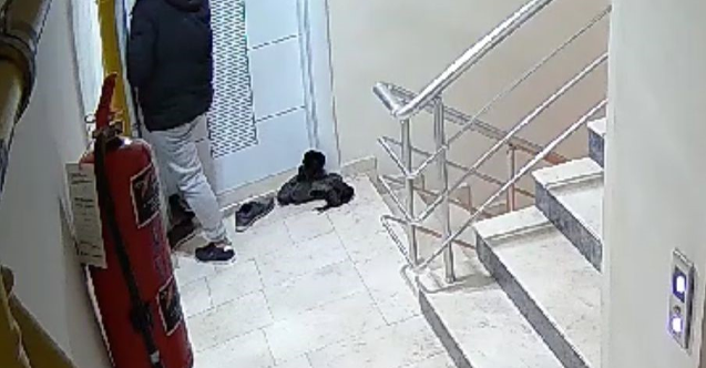 Yardım toplama bahanesiyle apartmanlara girdiler