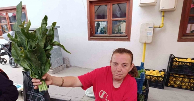 Dere kenarlarında ve sulak çayırlarda topladığı ’Labada’ bitkisini pazarda satıyor