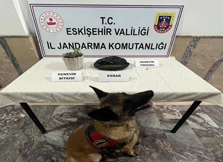 Jandarma ekiplerinden 4 ayrı uyuşturucu operasyonu