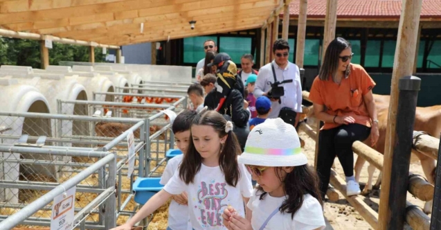 Dünya Süt Günü’nü coşkuyla kutlandılar