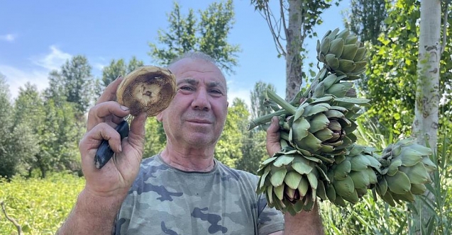 Enginarları yok satıyor