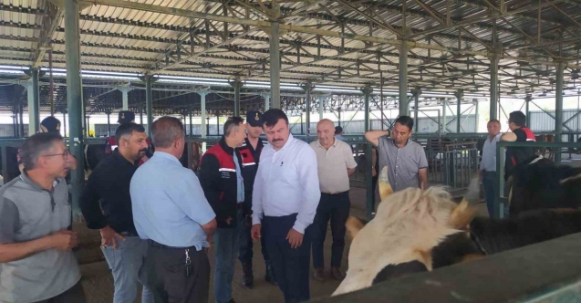 Kurban Satış Pazarında denetim ve kontroller