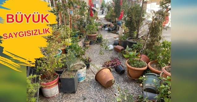 Felçli eşi için yaptığı bahçe talan edildi