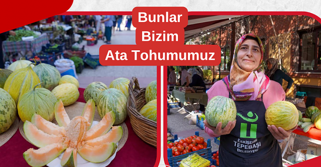 Bağrıbütün kavunu Eskişehir'de