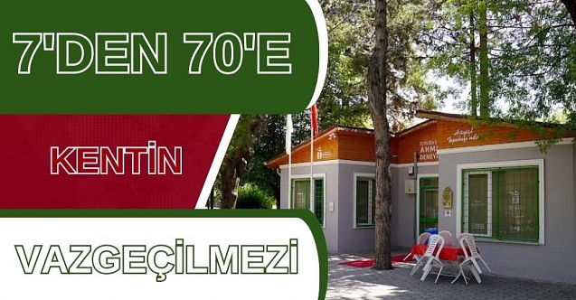 Deneyimli Kafeler yoğun ilgi görüyor