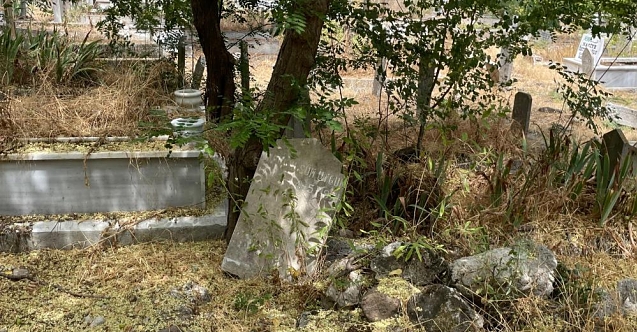 Mezarlıkta ihmalkârlık iddiası