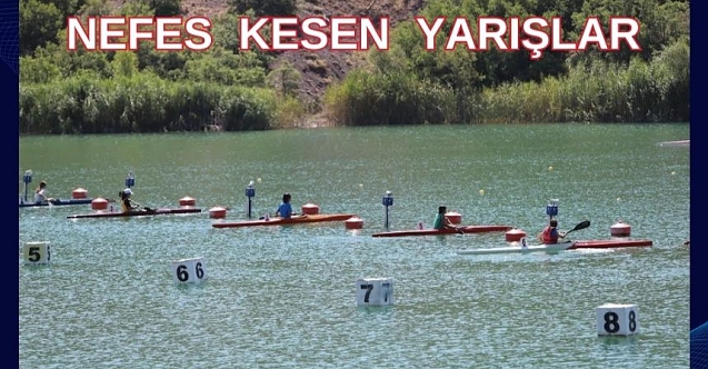 Şampiyona başladı