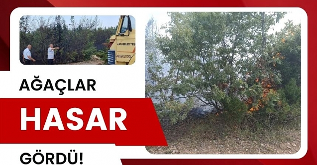 Yangın büyümeden söndürüldü