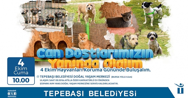 Can Dostlarla Buluşma