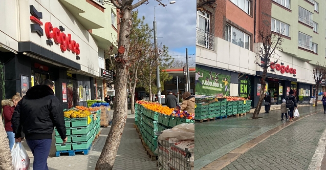 Büyükşehir olaya el koydu