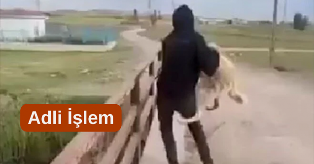 Köpeği suya atan şahıs yakalandı