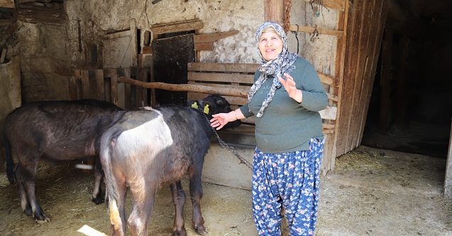 Büyükşehir’den üreticiye destek