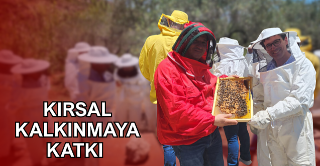 En iyi bal projesi için İtalya’da toplantı