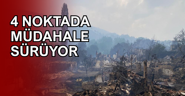 Son 3 Günde 263 Orman Yangını