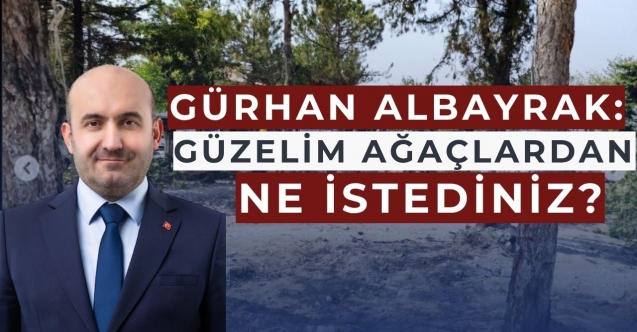 Gürhan Albayrak: Alternatif çözümler hiç mi düşünülmedi?