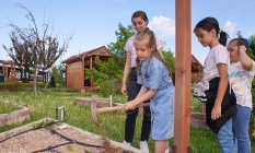Minikler bitkilerin büyüme serüvenini öğrendi