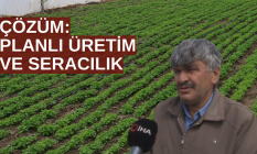Yetersiz yağışlar fiyatları etkiledi