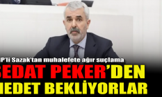 MHP’li Sazak’tan muhalefete Sedat Peker suçlaması