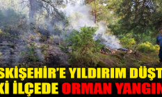 Eskişehir'e yıldırım düştü: Orman yangını!