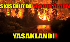 Eskişehir'de yangın alarmı: Yasaklandı!