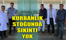 Kurbanlık stoğunda sıkıntı yok