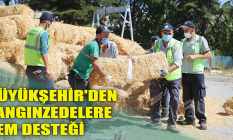 Büyükşehir'den yangınzedelere yem desteği