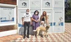 Doğal Yaşam Merkezi yaralı köpeğe sağlık verdi