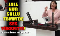 CHP'li Süllü TBMM'de ses yükseltti! Konu Paris İklim Anlaşması