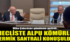 TBMM'de Alpu kömürlü termik santrali konuşuldu