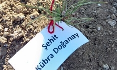 Eskişehir'de fidanlar şehitlerin ismiyle büyüyecek!