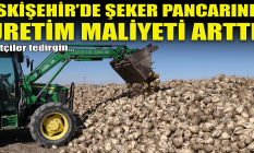 Eskişehir'de pancarda üretim maliyeti arttı!