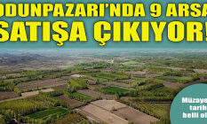 Odunpazarı'nda 9 arsa satılacak!