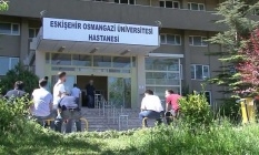 Eskişehir'de yetişiyorlar Türkiye'nin dört bir yanına dağılıyorlar!