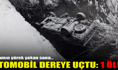 Otomobil dereye uçtu: 1 ölü!