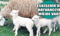 Eskişehir'de hayvancıya hibe müjdesi!