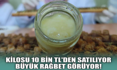 Kilosu 10 bin TL'den satılıyor! Büyük rağbet görüyor...